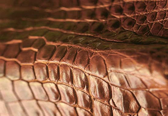 Exotic leather